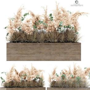 现代花坛花钵-1